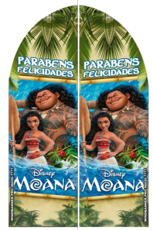 Wind Banner Moana 2